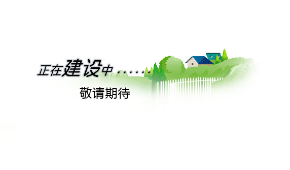 网站建设中